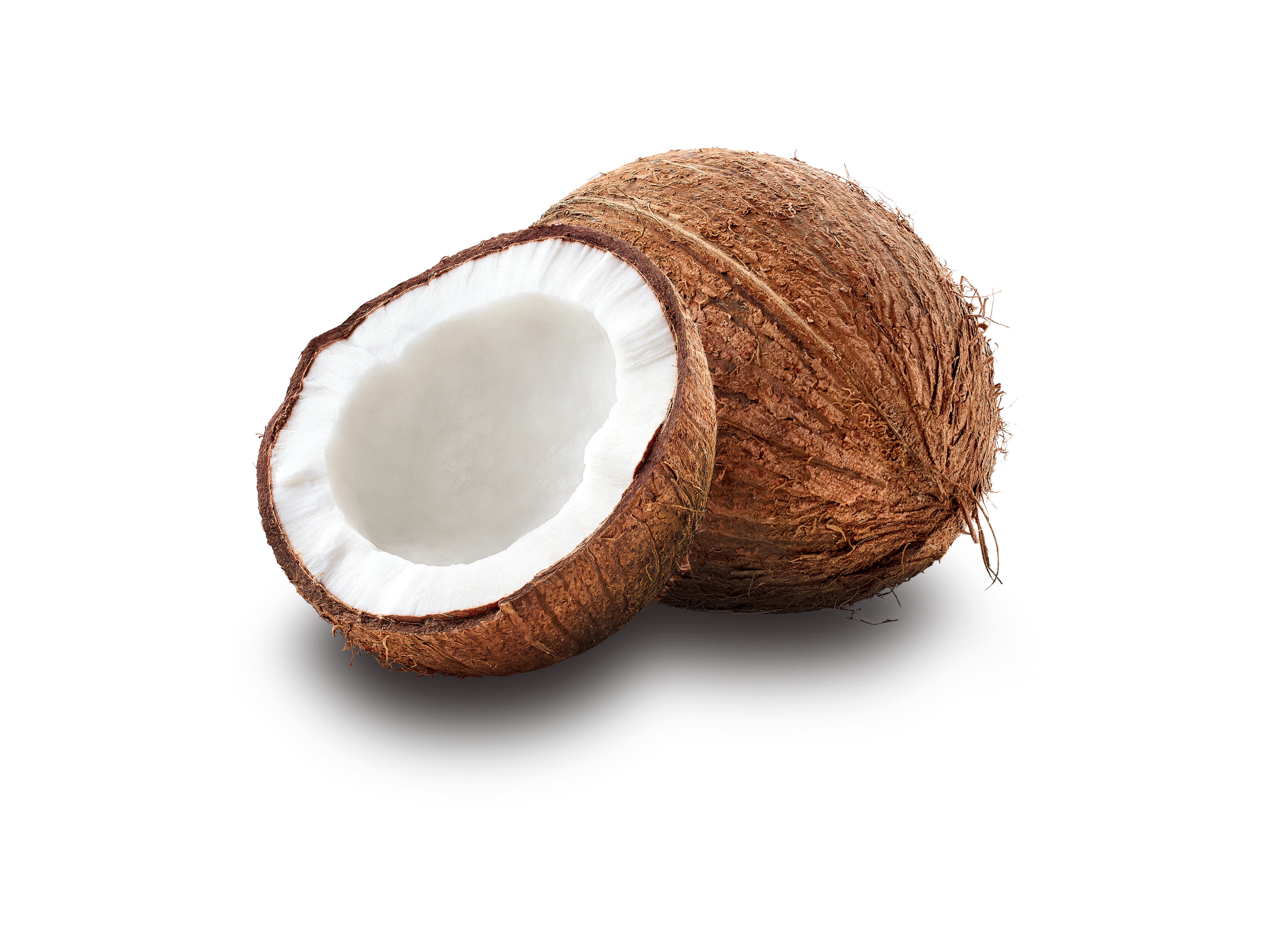 Coconut