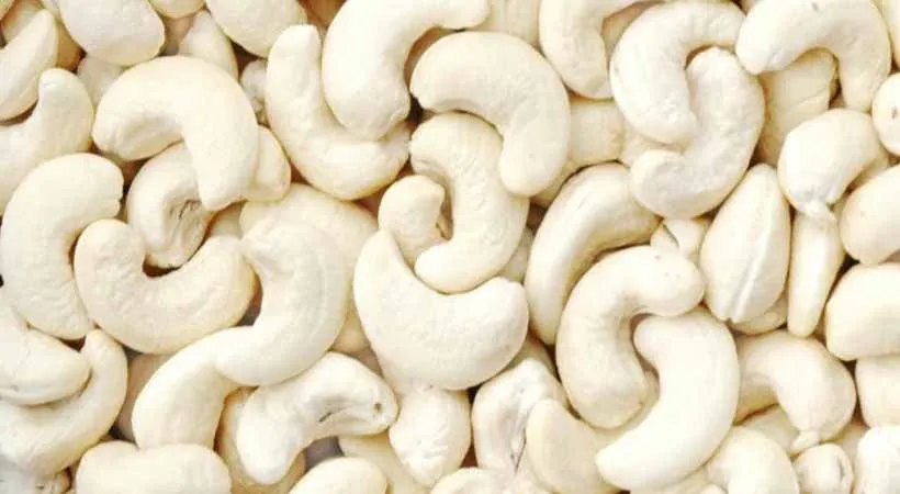Raw Cashew nuts
